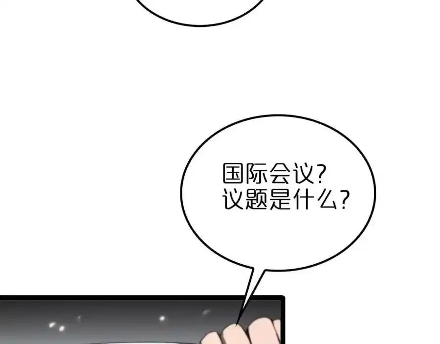 第147话 国际会议117