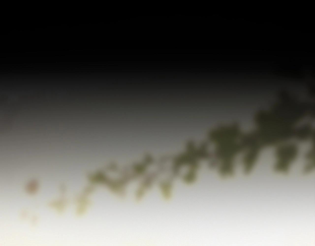 第104话 危险抉择4