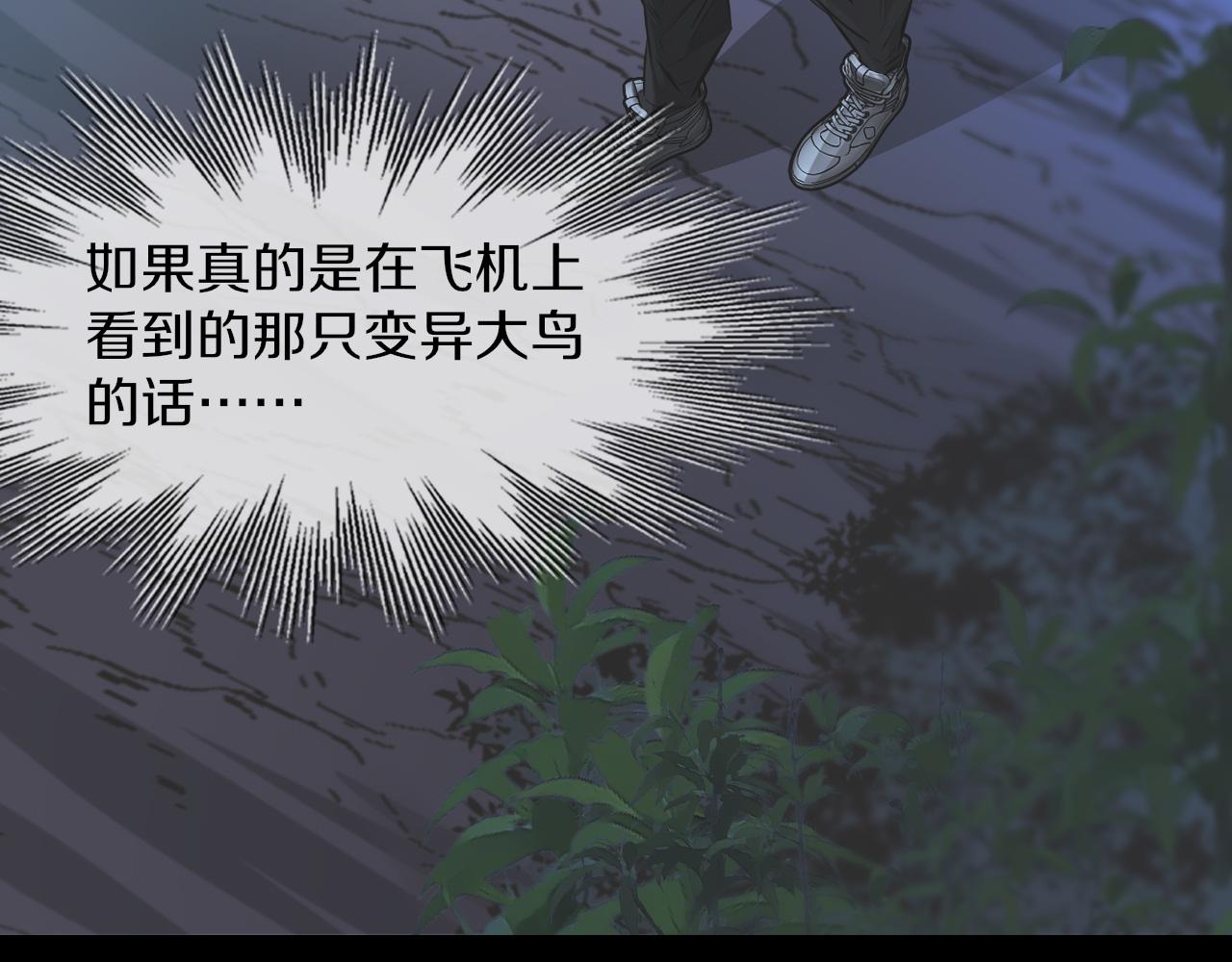 第130话 调查“变异大鸟”16
