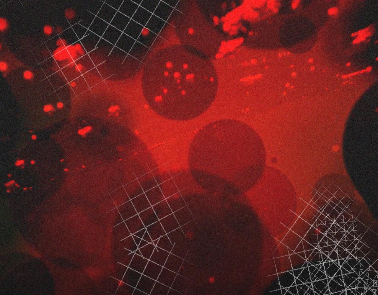 第44话 能力升级？112