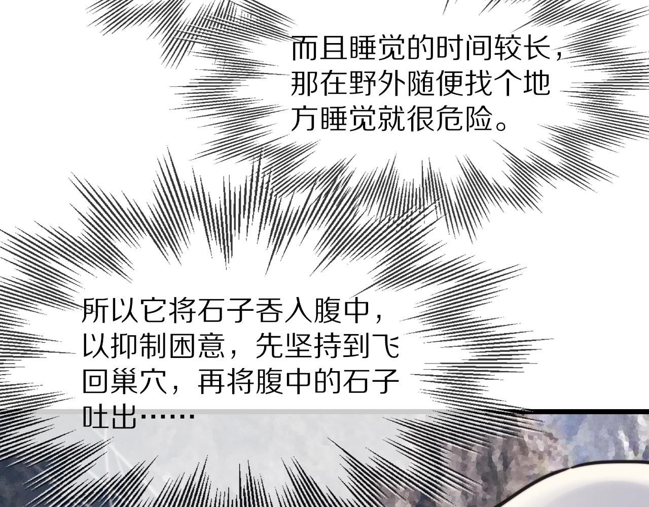 第14话 少女“老夏”11