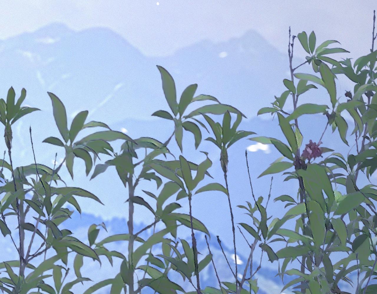 第117话 恐惧的熊孩子67