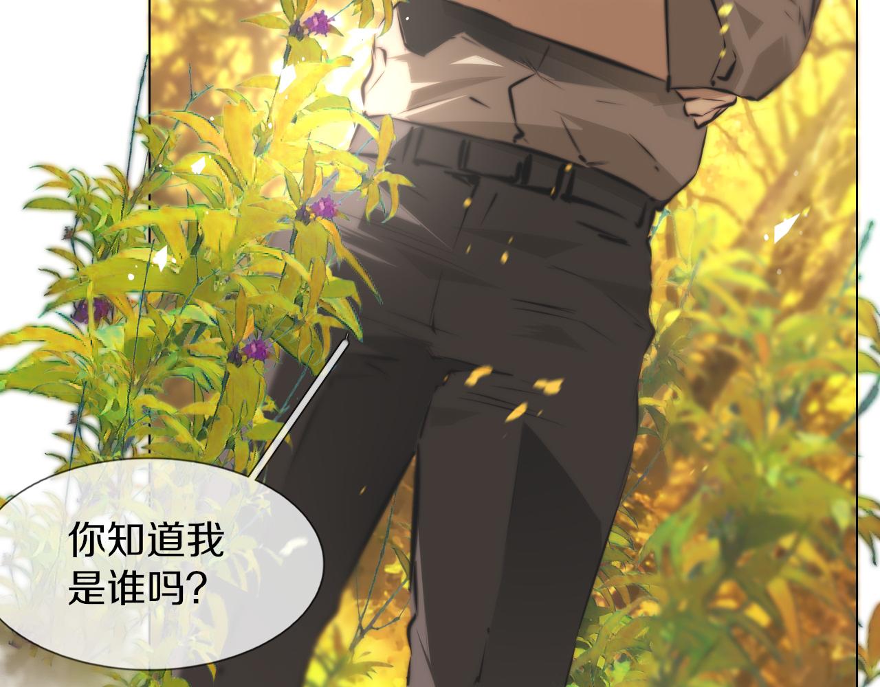 第118话 地头蛇的挑衅52