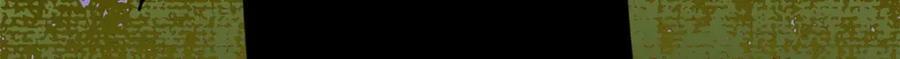 255 河西走廊25