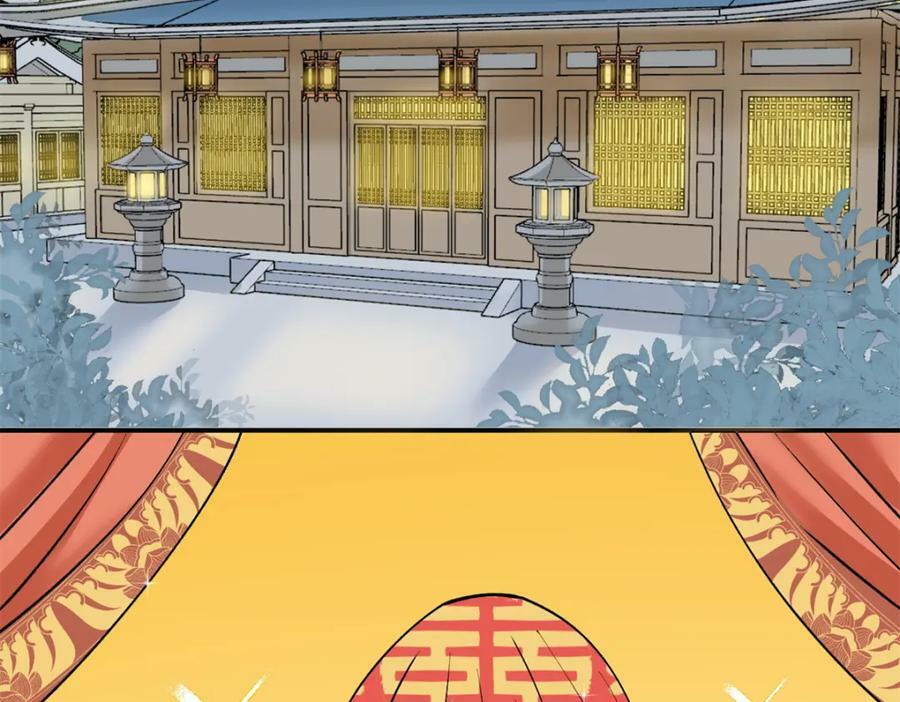 251 公主大婚71