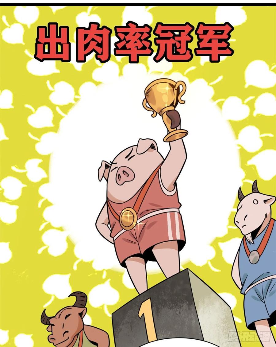 135 改良猪肉品质11