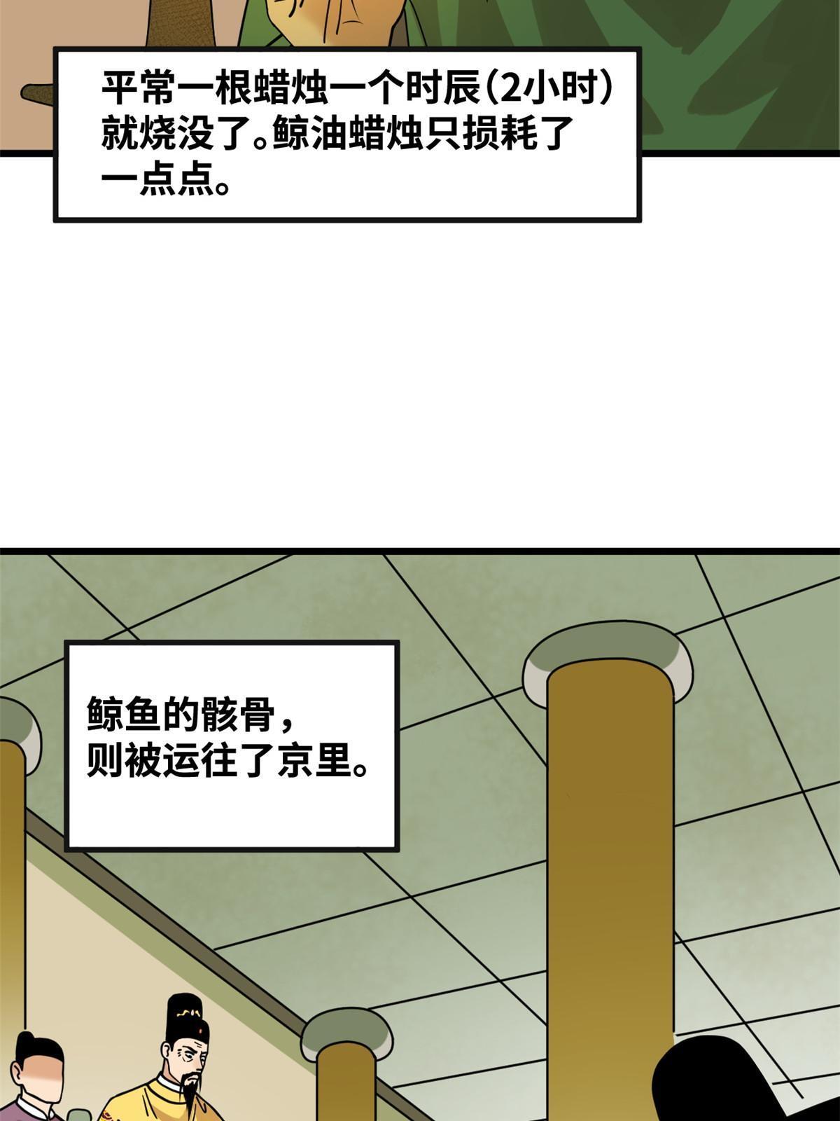 194 鲸鱼带来的震撼5