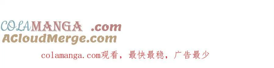 303 新式马车81