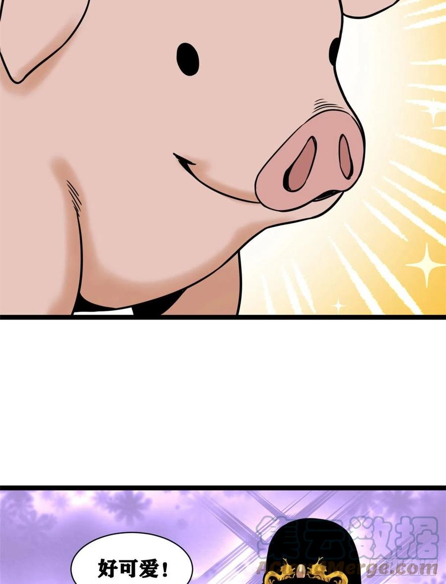 135 改良猪肉品质33