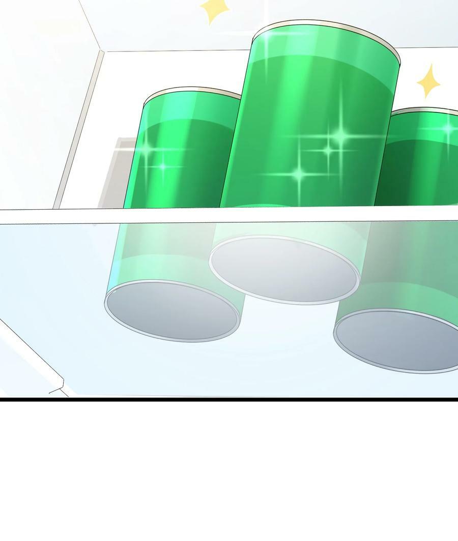 117 迷你……夜燕5