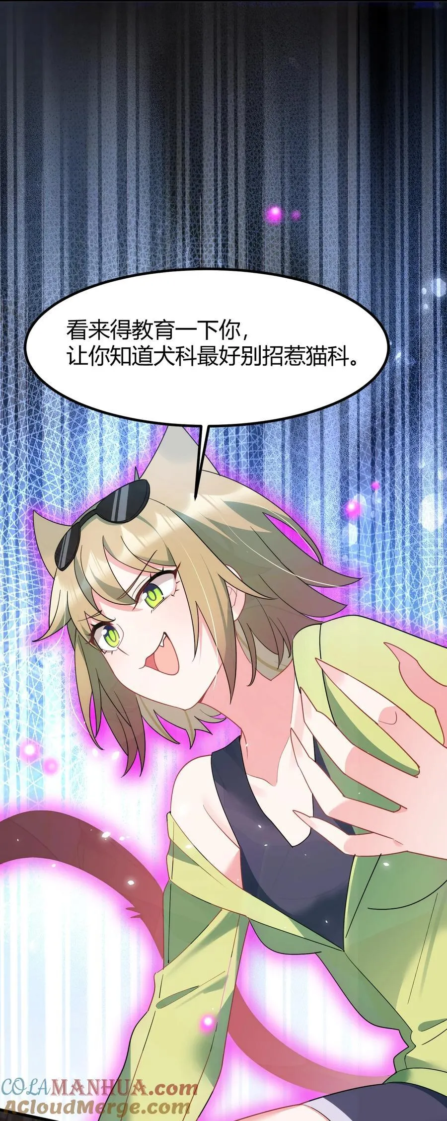 156 猫狗……大战36