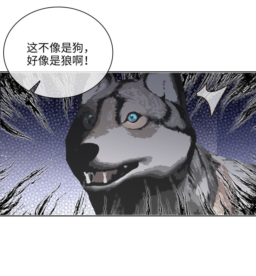 第77话 夜袭29