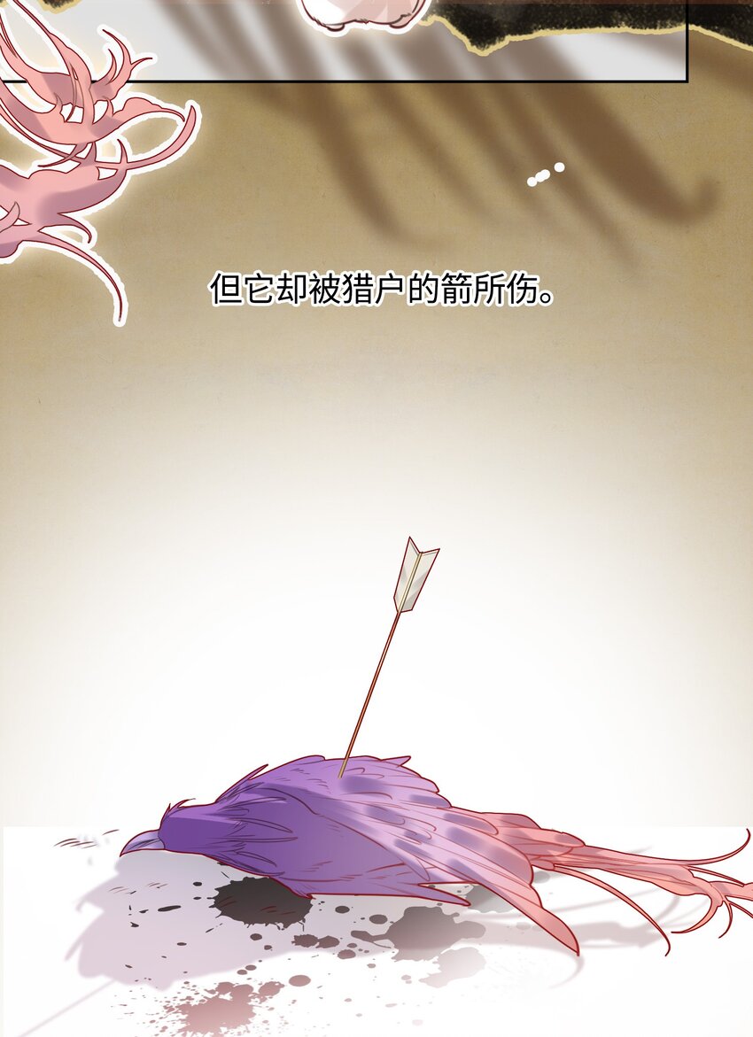 第8话 笼中鸟13