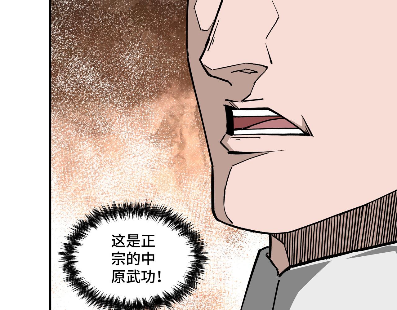 第236话 正宗的中原武功74