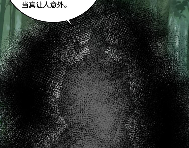 第100话 神秘人76