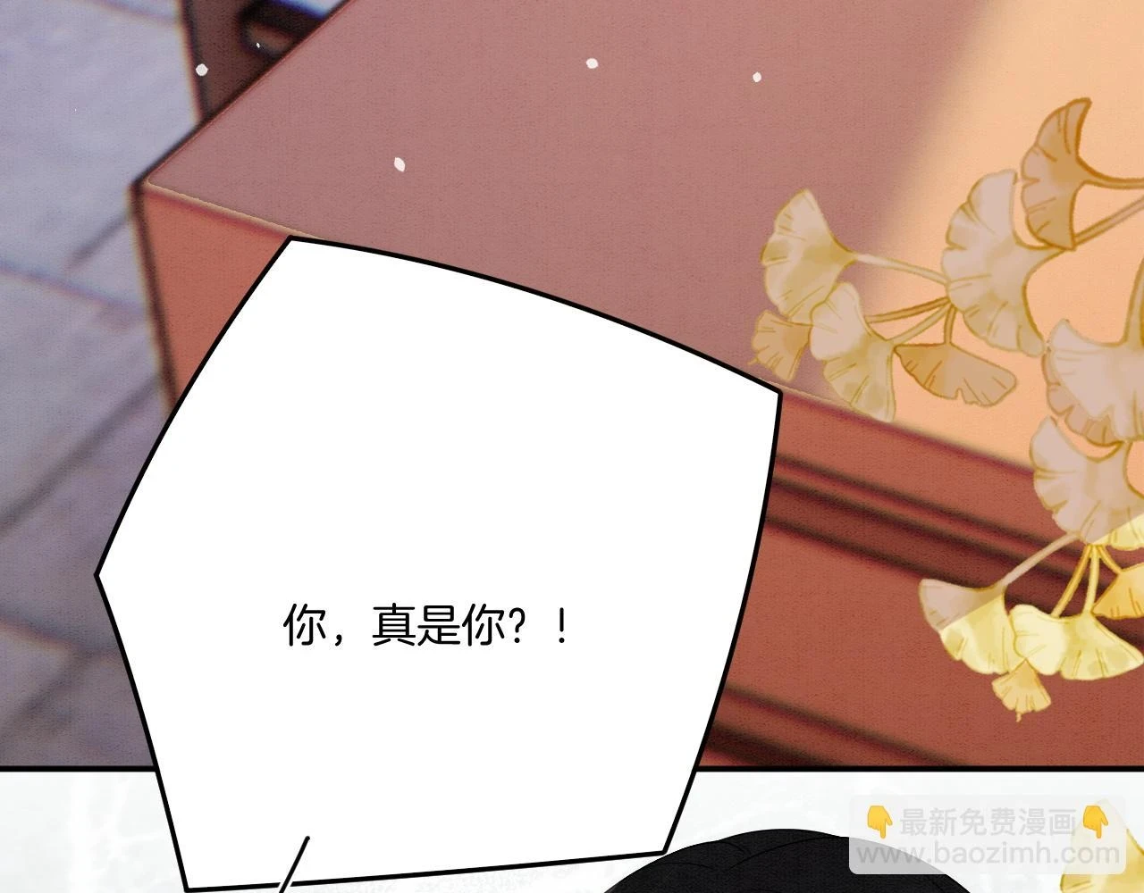 第65话 南宫尘你伤的他？113