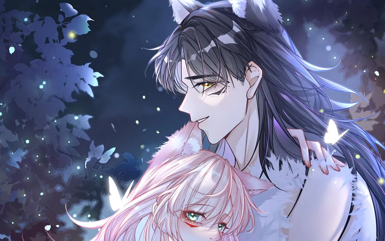第171话 神秘结界0