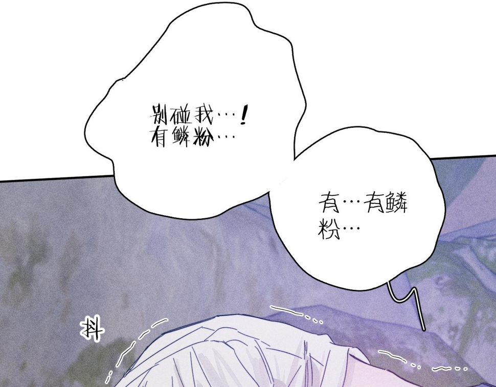 第87话 蝶72