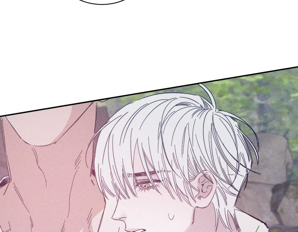 第87话 蝶77