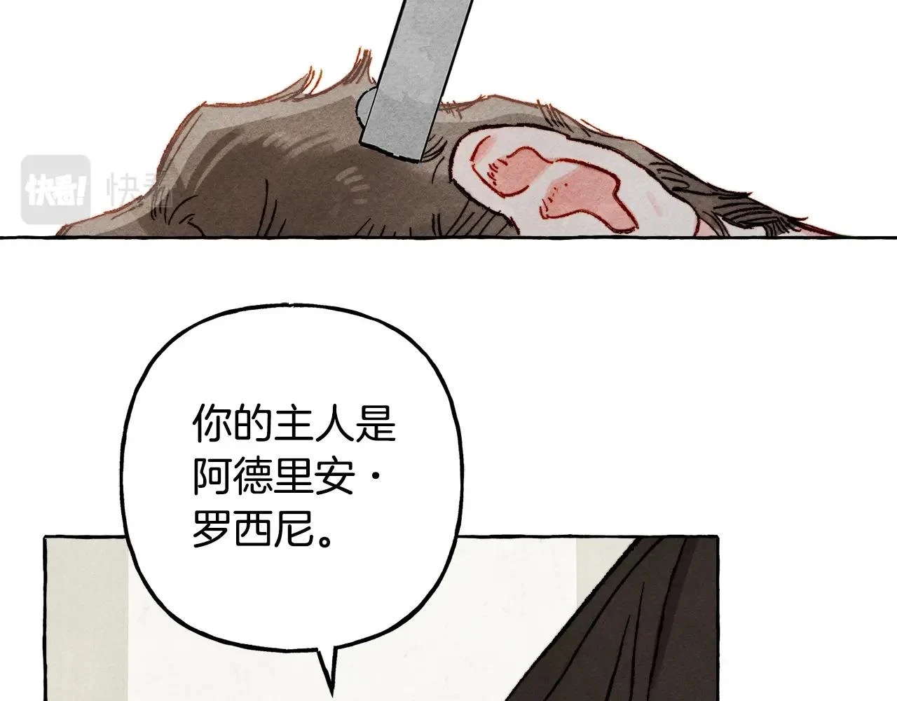 第52话 揭开的面纱11