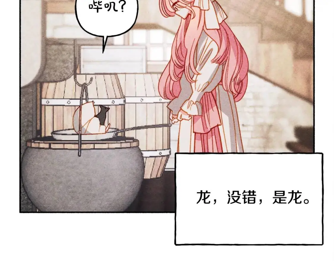 第1话 我命中注定的崽崽啊28
