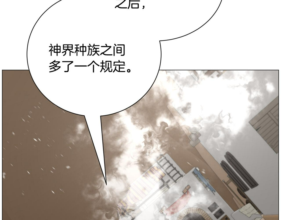 第84话 被选中的守护者78