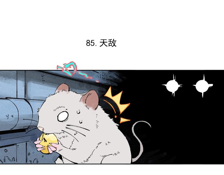 第18话 可爱猛妹11