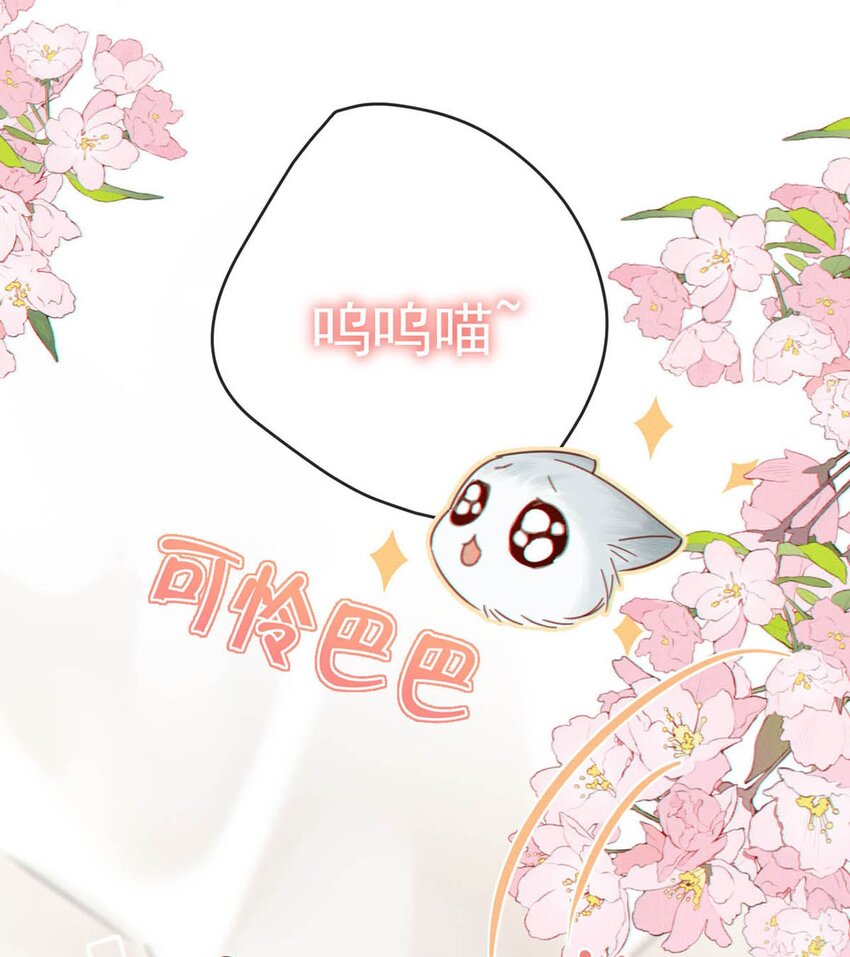 055 所以，是礼物吗？12