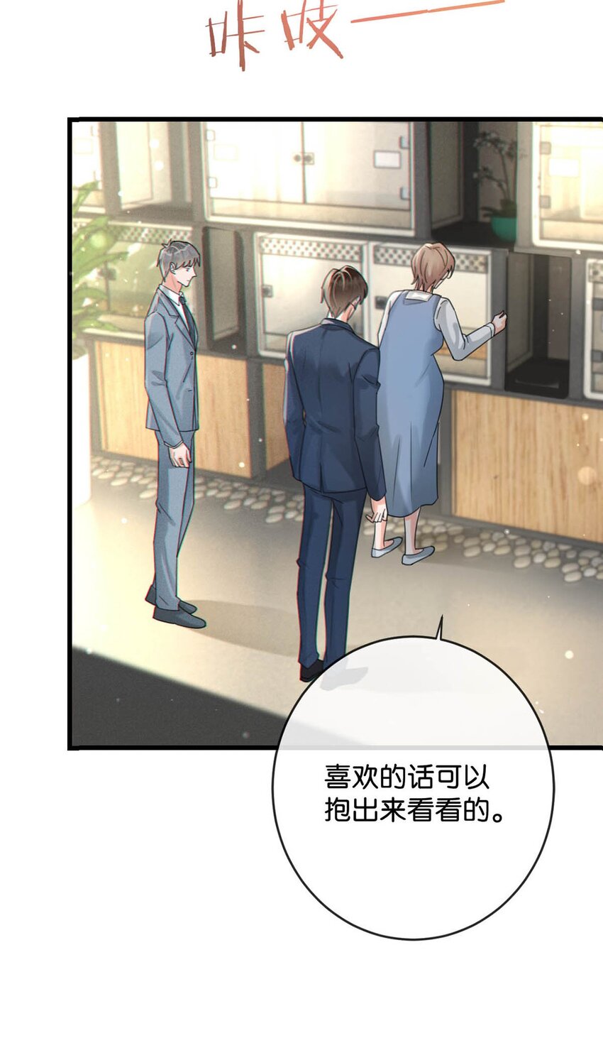 043 如何做好一个父亲。12