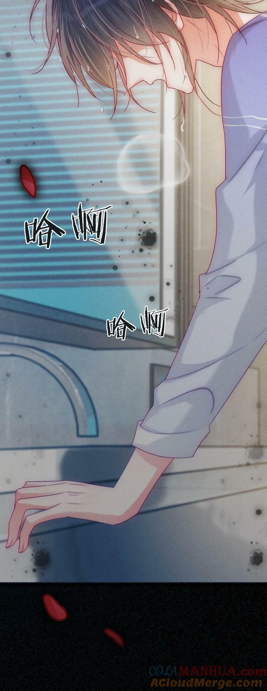 081 原来不是连诀送我的花……18