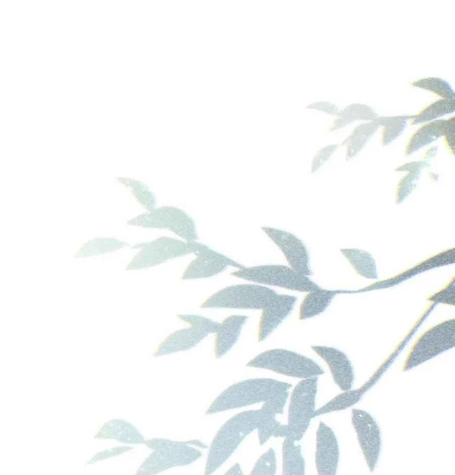 完结番外5 林琛篇（完结）37