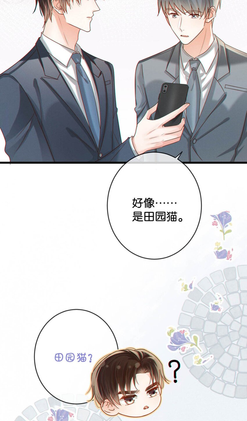 042 沈庭未应该会喜欢它。31