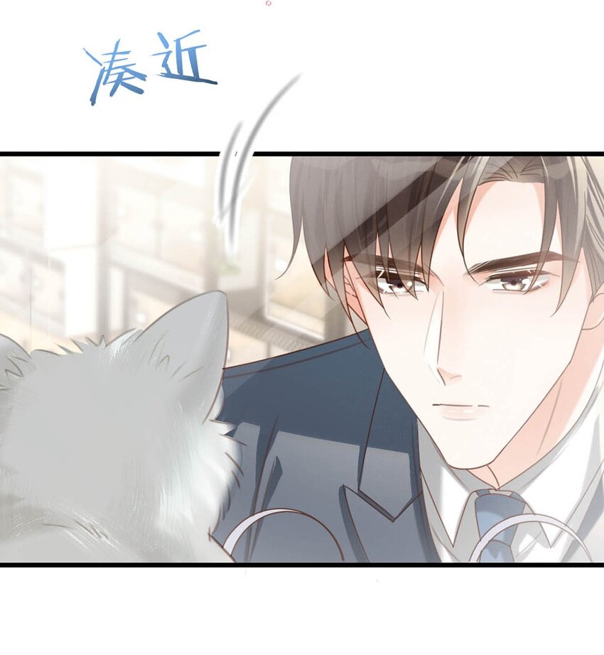 042 沈庭未应该会喜欢它。38
