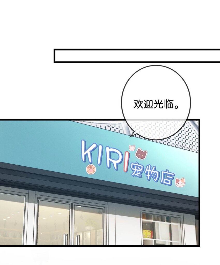 042 沈庭未应该会喜欢它。25