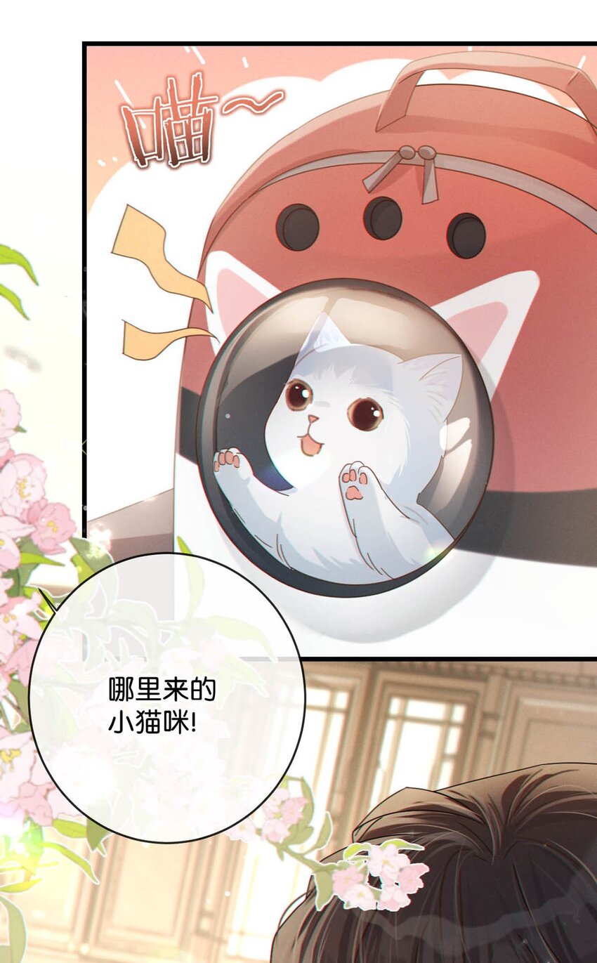 053 从给家人准备惊喜开始吧。26