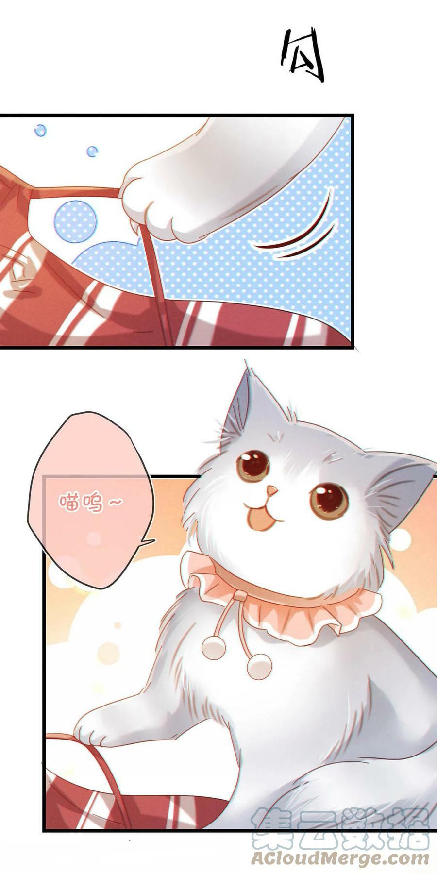 072 他还是个二婚？！24