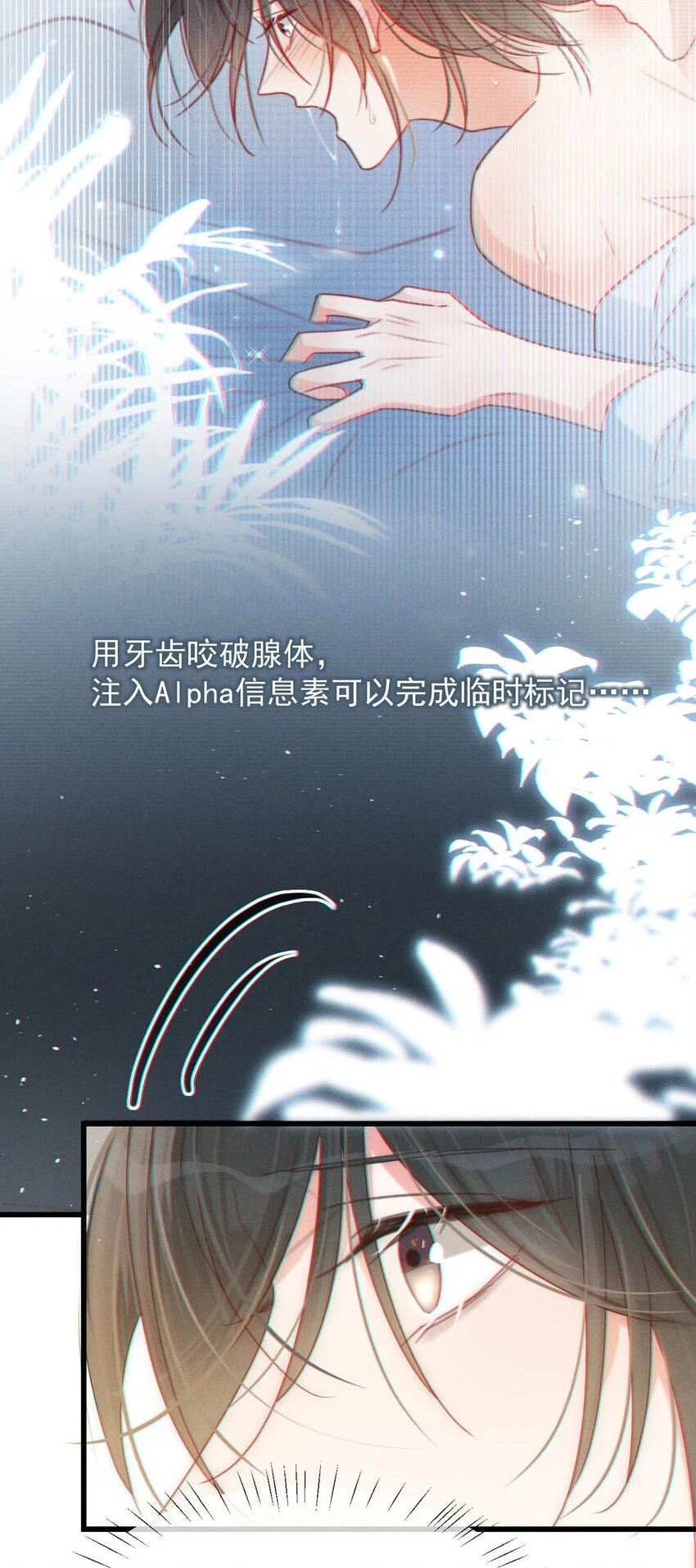 067 土味情话36