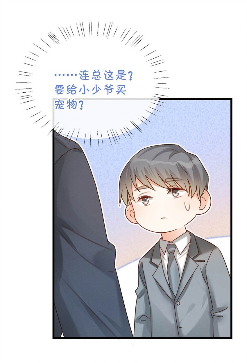 042 沈庭未应该会喜欢它。29