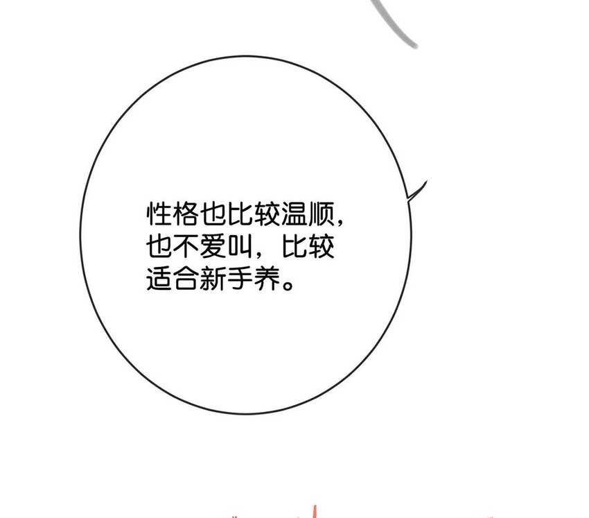 043 如何做好一个父亲。11