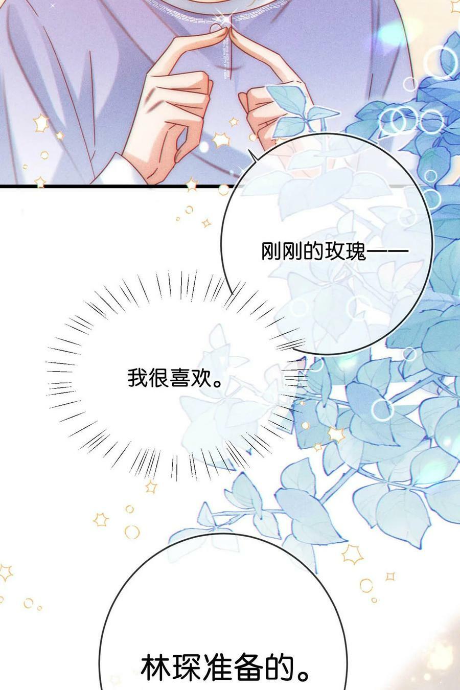081 原来不是连诀送我的花……49