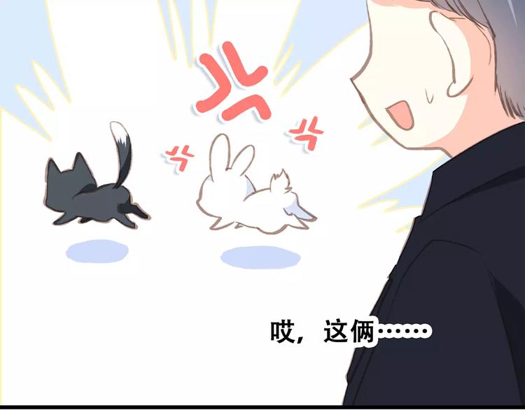 番外 训练营那些小事69