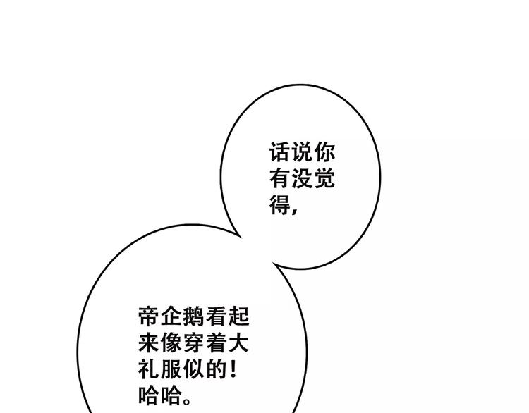 第14话（上） 可爱的企鹅60