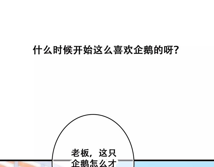 第14话（下） 限定门票8