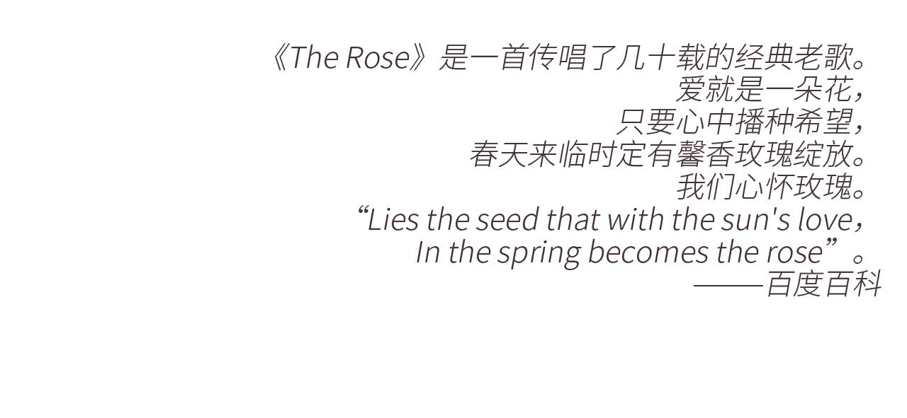 121 THE ROSE.4181
