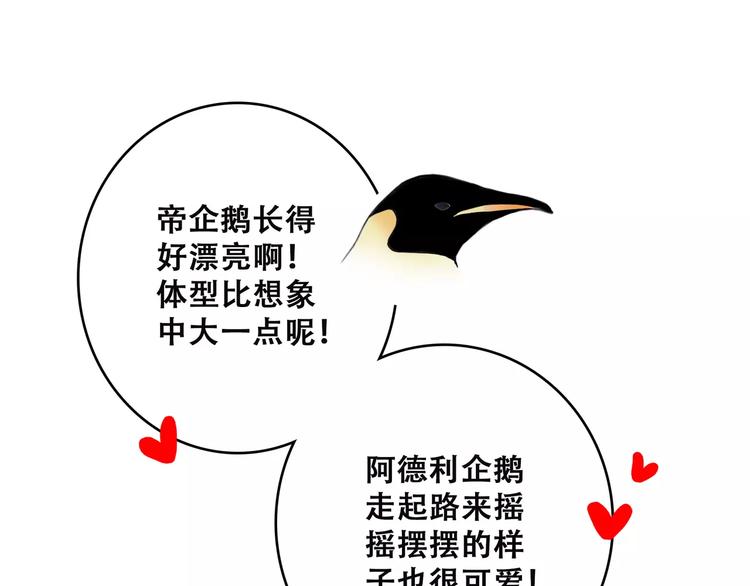 第14话（上） 可爱的企鹅56