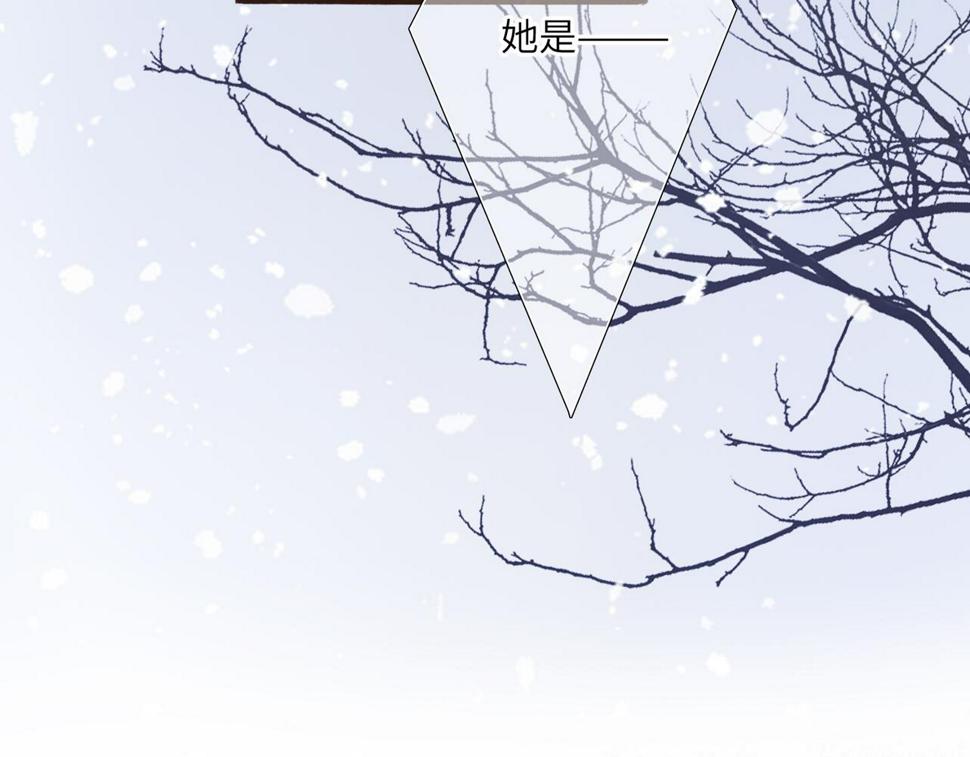 新年番外 宴华喜事63