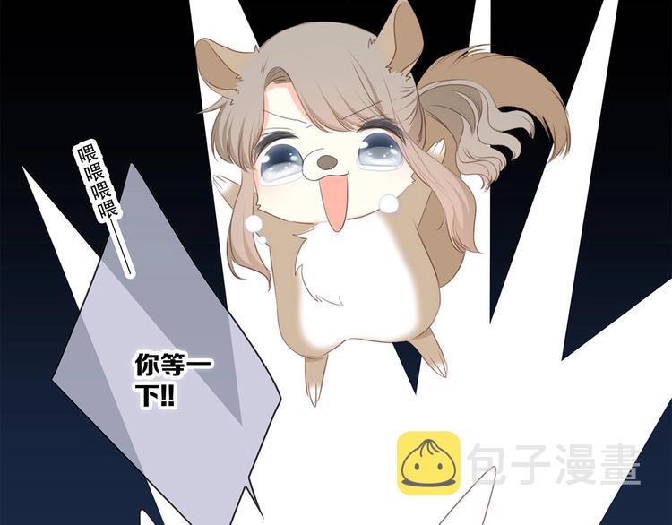 第84话 捡到企鹅妈妈？！51
