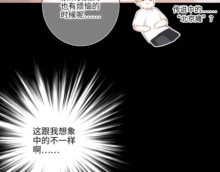 105话（中） 突然的默契36