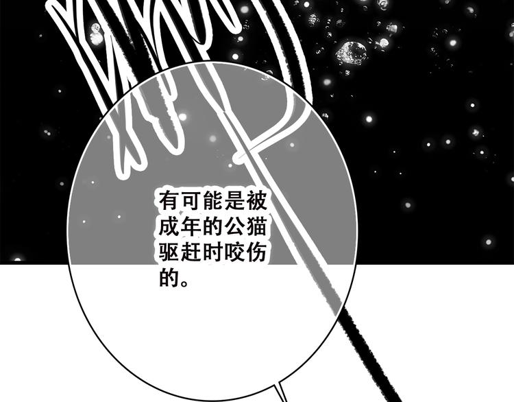 第33话 让我靠着你15