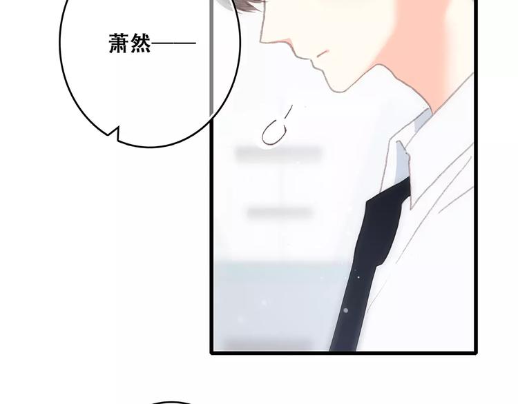 第2话 暗号113